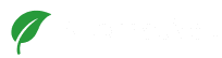 alternativa+