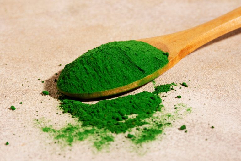 Chlorella prášek na dřevěné lžíci – zelená superpotravina