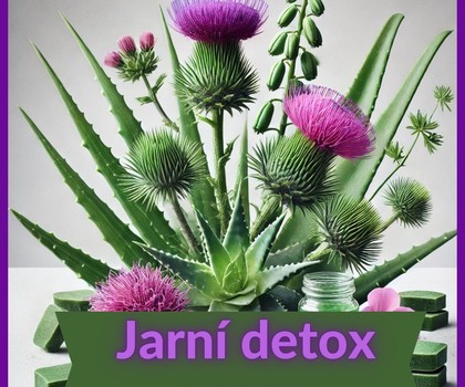 Bio-Detox.cz